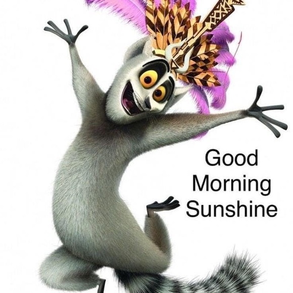 Meet your Posher, Grace - Picture 2 of 2